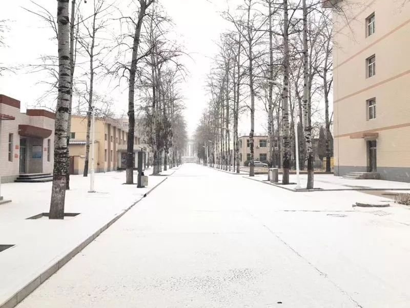 河北一女子取完快递回家,刚上台阶就遇上“雪崩”,她现在的情况如何?