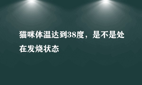 猫咪体温达到38度，是不是处在发烧状态