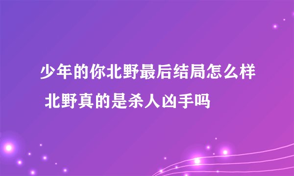 少年的你北野最后结局怎么样 北野真的是杀人凶手吗