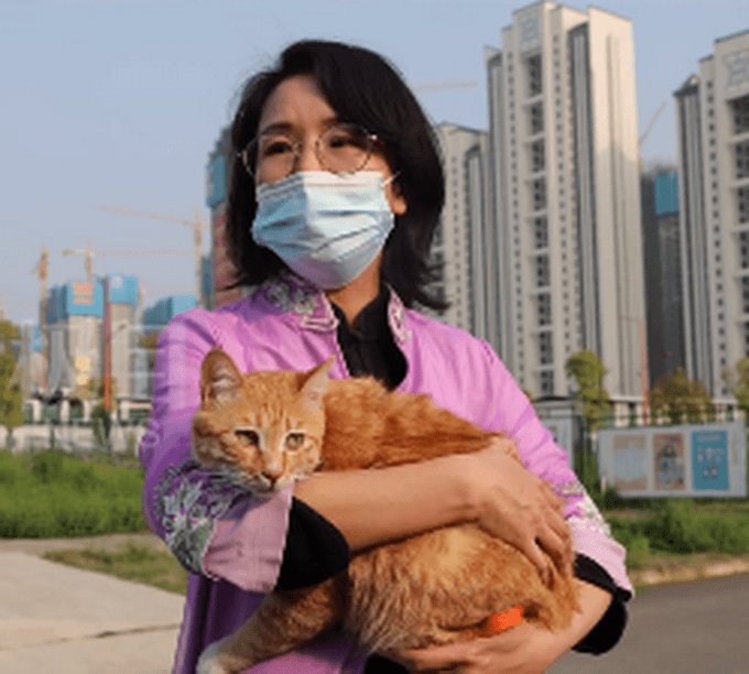 雷神山流浪小奶猫一年后成胖橘,它是被谁喂养的?