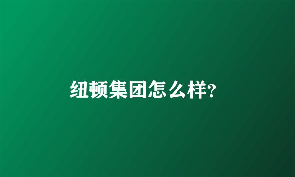 纽顿集团怎么样？