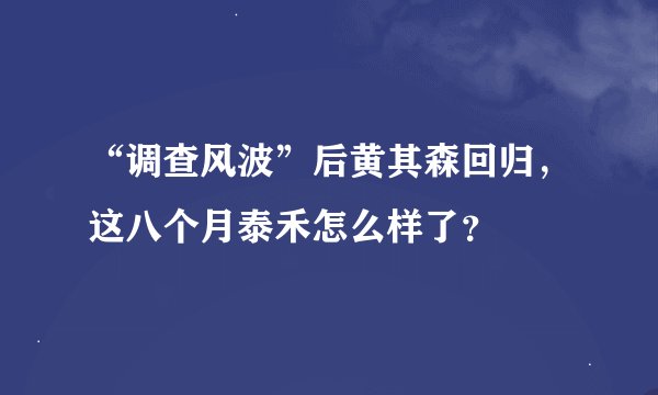 “调查风波”后黄其森回归，这八个月泰禾怎么样了？