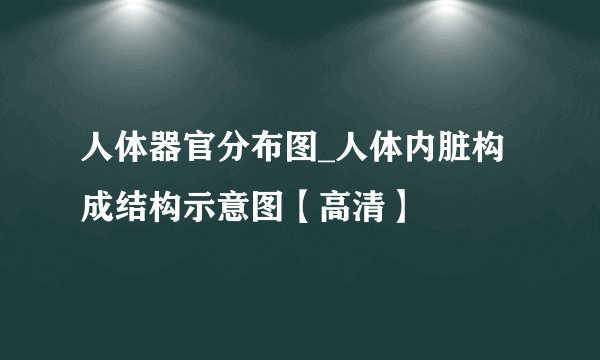 人体器官分布图_人体内脏构成结构示意图【高清】