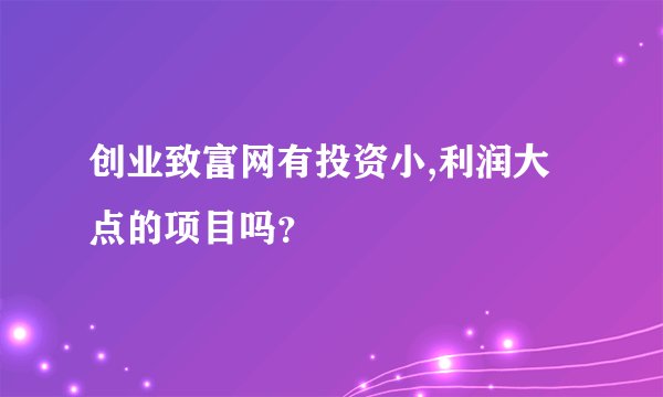 创业致富网有投资小,利润大点的项目吗?