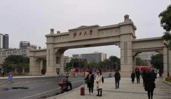 悲痛，广西大学一教师离世，原因骑电瓶车行驶，没刮风树倒了被砸