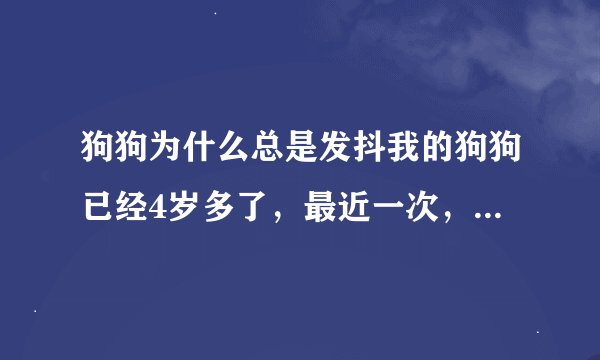 狗狗为什么总是发抖我的狗狗已经4岁多了，最近一次，我刚回家他就发