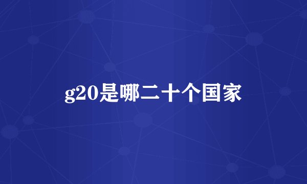 g20是哪二十个国家