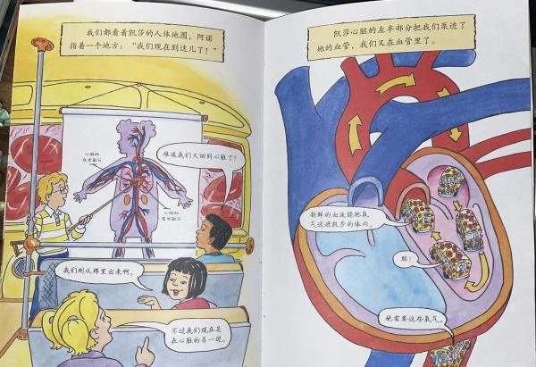 3-6岁科普绘本系列3:神奇校车(桥梁书版)