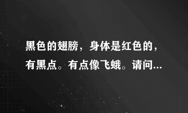 黑色的翅膀,身体是红色的,有黑点。有点像飞蛾。请问这是什么昆虫?
