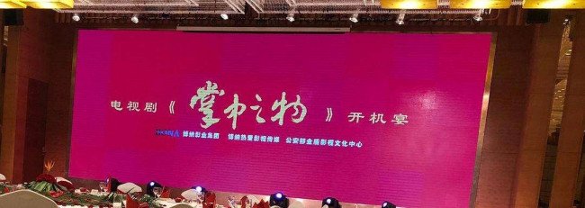 傅慎行对女主做了什么?