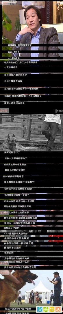 刘亦菲谣言澄清—第六期【教父干爹本无他意，信口造谣最为下流】