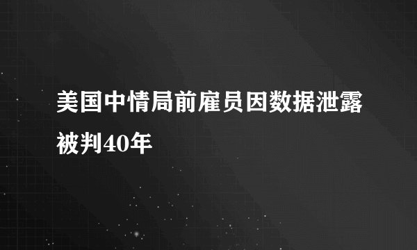 美国中情局前雇员因数据泄露被判40年