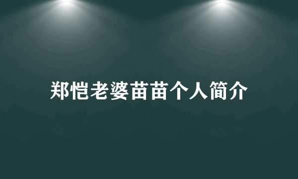 郑恺老婆苗苗个人简介