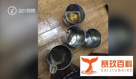 突击奶茶后厨，上海抽检奶茶店全部存在问题！
