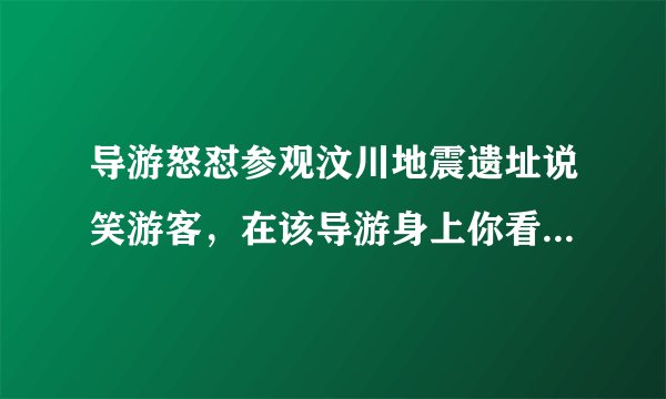 导游怒怼参观汶川地震遗址说笑游客，在该导游身上你看到了什么闪光点？