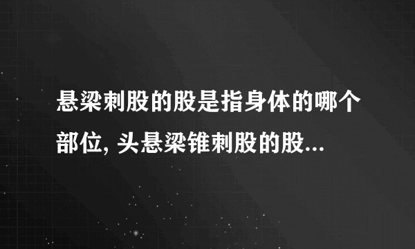 悬梁刺股的股是指身体的哪个部位, 头悬梁锥刺股的股是哪个部位