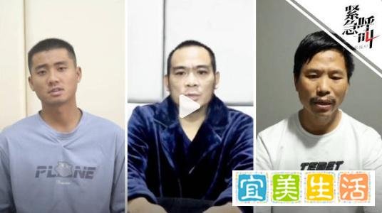 知情人证实缅北电诈成员劝降视频属实