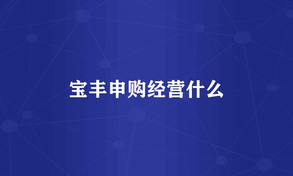 宝丰申购经营什么