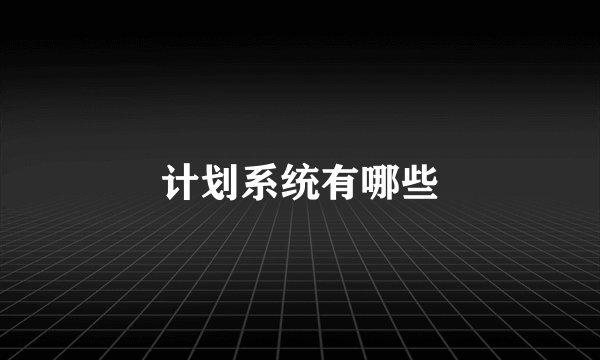 计划系统有哪些