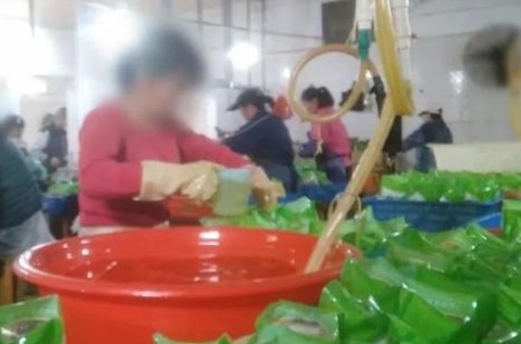 部分老坛酸菜包竟是土坑腌制而来,制作现场有多么触目惊心?