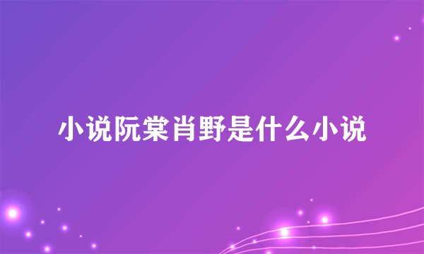 小说阮棠肖野是什么小说
