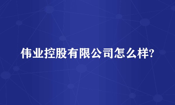 伟业控股有限公司怎么样?