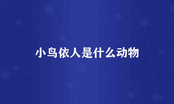 小鸟依人是什么动物