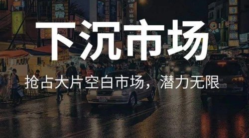 蓝月亮在下沉市场困于山寨货,这体现了下沉市场的哪些问题?