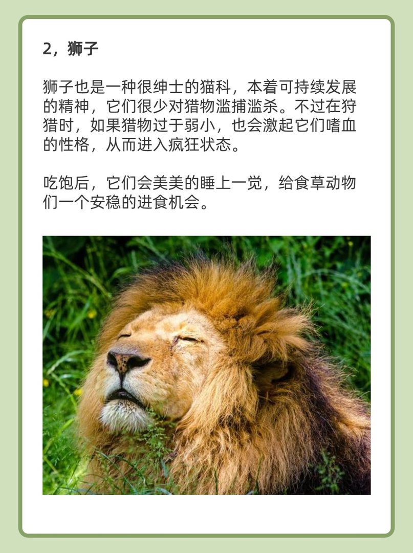 最绅士的猫科动物排名