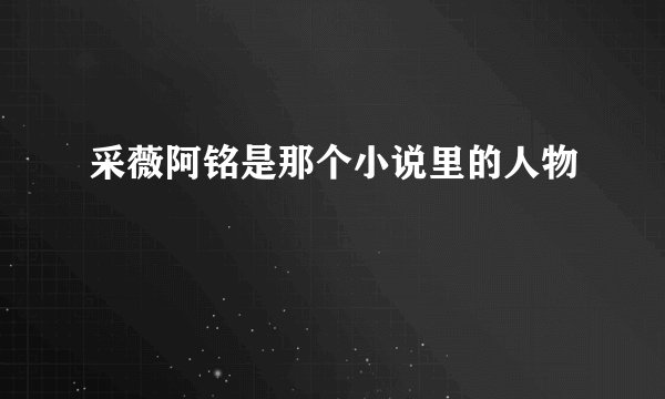采薇阿铭是那个小说里的人物