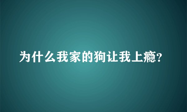 为什么我家的狗让我上瘾？