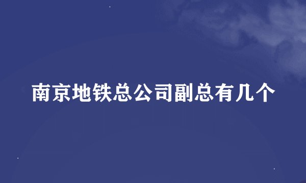 南京地铁总公司副总有几个