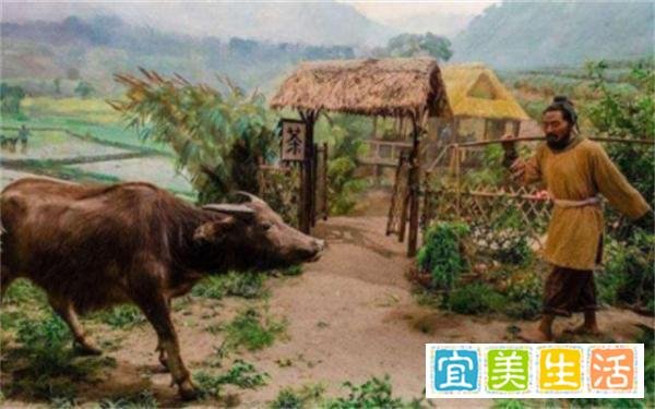 牛人、囧卿、专操大臣，中国历史上的奇葩官名，你听过几个？