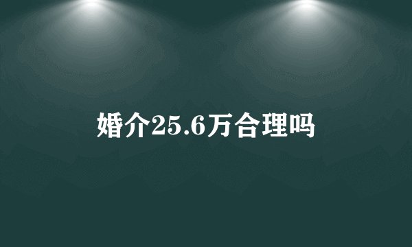 婚介25.6万合理吗