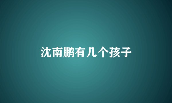 沈南鹏有几个孩子