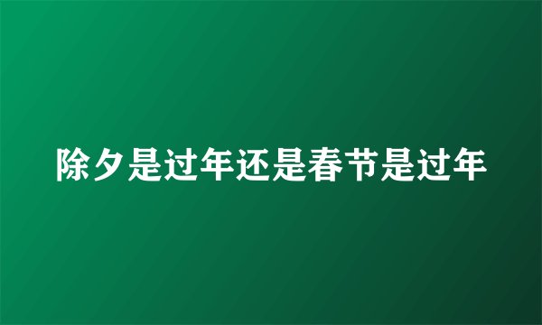 除夕是过年还是春节是过年