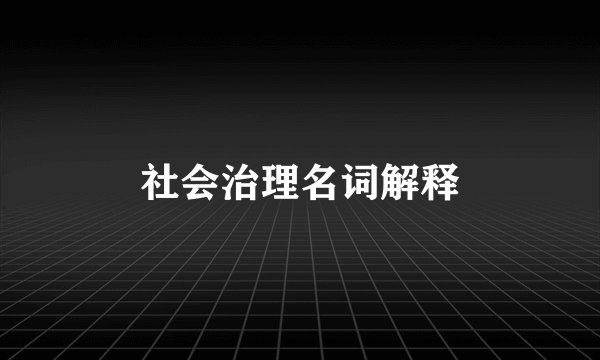 社会治理名词解释