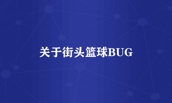 关于街头篮球BUG