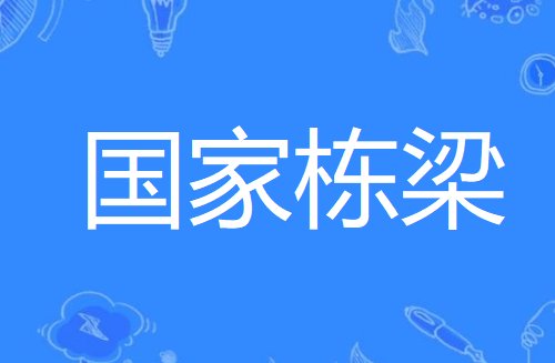 栋的四字词语