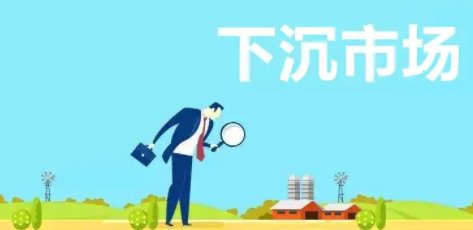 蓝月亮在下沉市场困于山寨货,这体现了下沉市场的哪些问题?