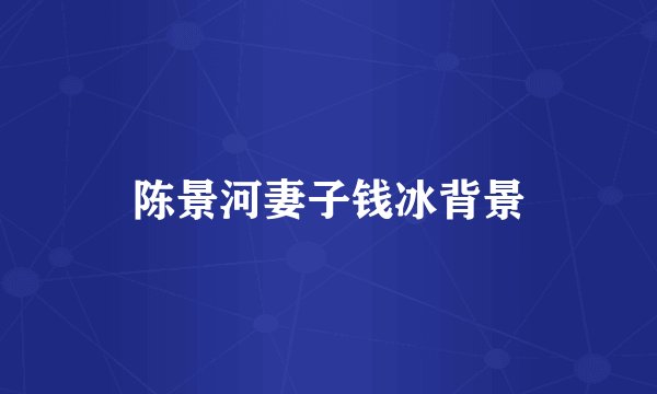 陈景河妻子钱冰背景