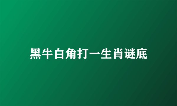 黑牛白角打一生肖谜底