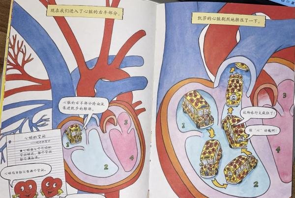 3-6岁科普绘本系列3:神奇校车(桥梁书版)