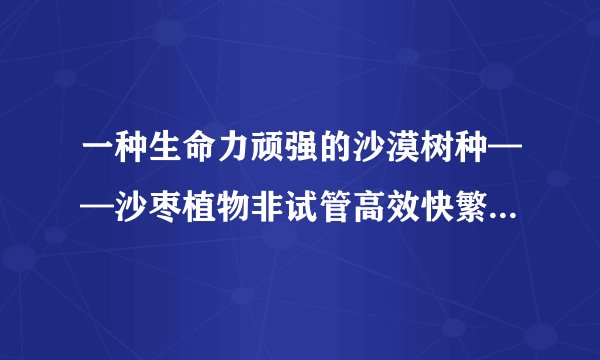 一种生命力顽强的沙漠树种——沙枣植物非试管高效快繁技术快繁沙枣