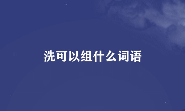 洗可以组什么词语