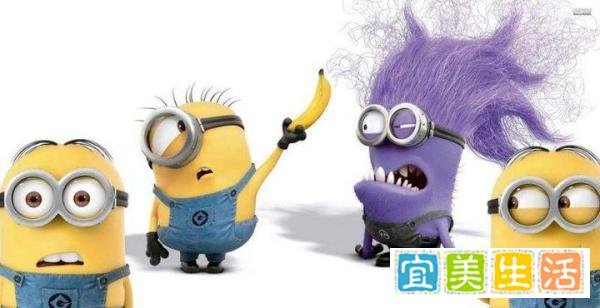 《神偷奶爸》小黄人完整解析，连区别性别都教你！