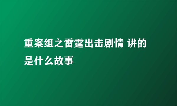 重案组之雷霆出击剧情 讲的是什么故事