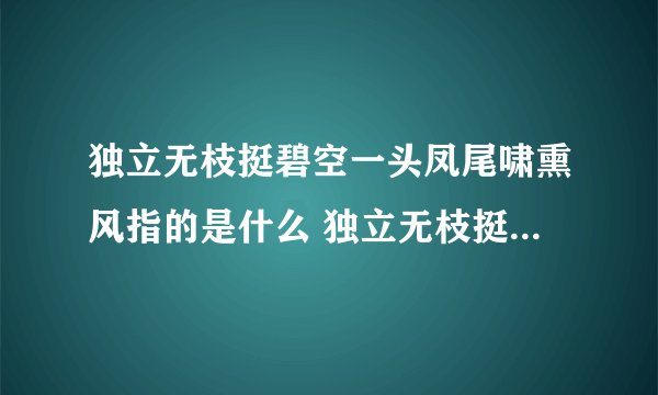 独立无枝挺碧空一头凤尾啸熏风指的是什么 独立无枝挺碧空一头凤尾啸熏风描述的是什么