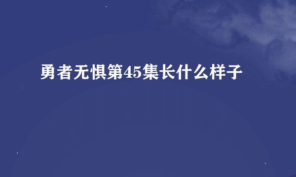 勇者无惧第45集长什么样子