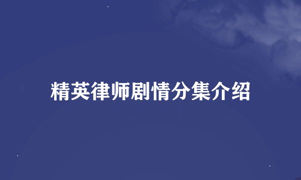 精英律师剧情分集介绍